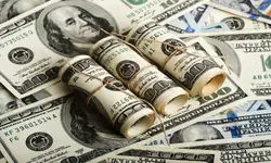 بانک مرکزی چقدر ارز برای واردات تامین کرد؟