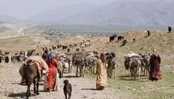 تمدید مهلت پرداخت حق بیمه روستاییان و عشایر