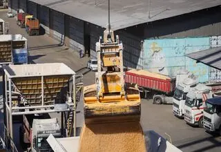 بارگذاری سهمیه نهاده‌های دامی دی‌ماه در سامانه «بازارگاه»