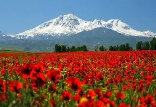شاعر حوزه کودک شعری برای ایران سرود