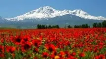 شاعر حوزه کودک شعری برای ایران سرود