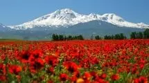 شاعر حوزه کودک شعری برای ایران سرود