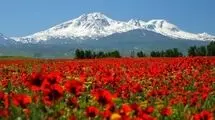 شاعر حوزه کودک شعری برای ایران سرود
