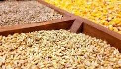 تعیین نرخ‌های جدید برای عرضه نهاده در بازارگاه 