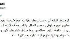 شبکه اجتماعی ایکس تیک آبی معاون وزیر خارجه را حذف کرد