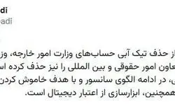 شبکه اجتماعی ایکس تیک آبی معاون وزیر خارجه را حذف کرد