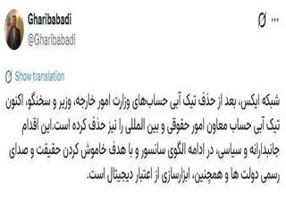 شبکه اجتماعی ایکس تیک آبی معاون وزیر خارجه را حذف کرد