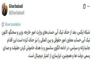 شبکه اجتماعی ایکس تیک آبی معاون وزیر خارجه را حذف کرد