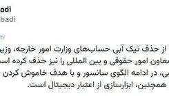 شبکه اجتماعی ایکس تیک آبی معاون وزیر خارجه را حذف کرد