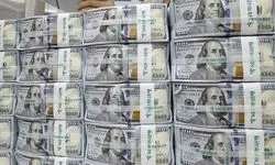پول‌های بلوکه شده ایران چقدر است؟/ اینفوگرافی