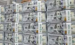رقم واقعی تخلف در بازگشت ارز صادراتی چقدر است؟ 