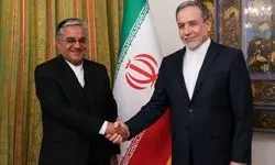دیدار رئیس جدید دفتر حفاظت منافع ایران در قاهره با عراقچی