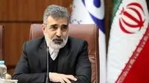 کمالوندی: برای تصویب قطعنامه پیشنهادی ایران تلاش می‌کنیم