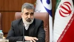کمالوندی: برای تصویب قطعنامه پیشنهادی ایران تلاش می‌کنیم