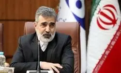 کمالوندی: برای تصویب قطعنامه پیشنهادی ایران تلاش می‌کنیم