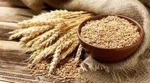 چرا نرخ خرید تضمینی گندم در شورای قیمت‌گذاری تعیین نشده است؟
