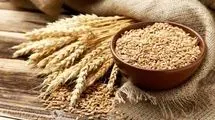 چرا نرخ خرید تضمینی گندم در شورای قیمت‌گذاری تعیین نشده است؟