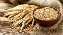 چرا نرخ خرید تضمینی گندم در شورای قیمت‌گذاری تعیین نشده است؟