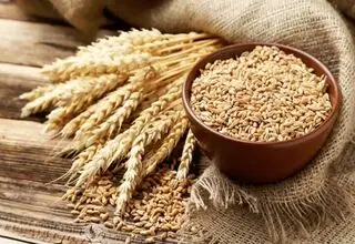 چرا نرخ خرید تضمینی گندم در شورای قیمت‌گذاری تعیین نشده است؟
