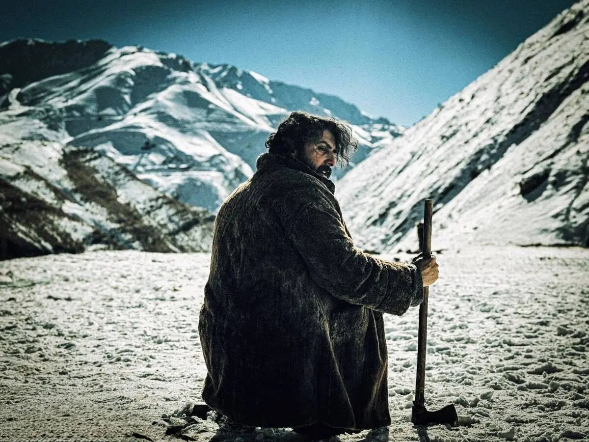 «زیر سایه بلوط» راهی ایتالیا میشود