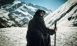 «زیر سایه بلوط» راهی ایتالیا می‌شود