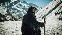 «زیر سایه بلوط» راهی ایتالیا می‌شود