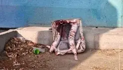 آخرین آمار دانش آموزان شهید، مجروح و مدارس آسیب‌دیده اعلام شد