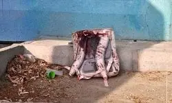 آخرین آمار دانش آموزان شهید، مجروح و مدارس آسیب‌دیده اعلام شد