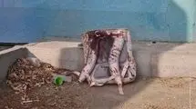 «میناب ۱۶۸»؛ نامی متفاوت برای کاروان ایران در جام جهانی ۲۰۲۶