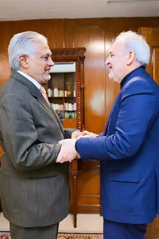 اسحاق‌دار با سفیر ایران دیدار کرد
