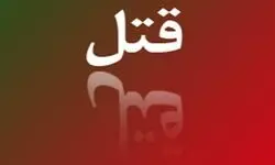 جزئیات قتل خواننده لس‌آنجلسی در تهران/ ببینید