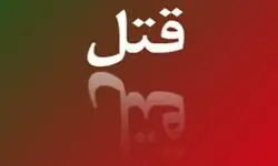 پرستار خانگی قاتل ۲ زن سالخورده شد