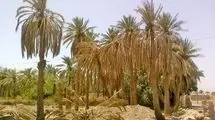 تلخی کام بهمنشیر، کشاورزان را نگران کرده است