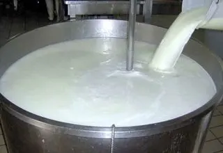 صنعت لبنیات کشور پایین‌ترین حاشیه سود را دارد