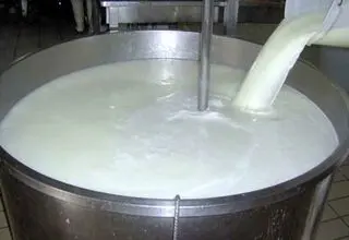 صنعت لبنیات کشور پایین‌ترین حاشیه سود را دارد