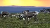 خورشید هرگز در این مکان‌ها غروب نمی‌کند!