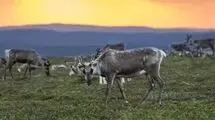 خورشید هرگز در این مکان‌ها غروب نمی‌کند!
