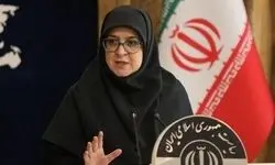 قول سخنگوی دولت برای پیگیری مسئله جابه‌جایی اموال هنرهای ملی