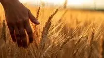 خبر خوش ؛پرداخت مطالبات از سمت دولت