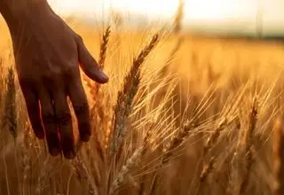 خبر خوش ؛پرداخت مطالبات از سمت دولت