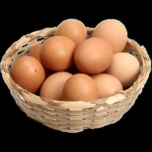 خطرات تخممرغ نیمپز