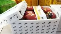 تاکید وزیر جهاد کشاورزی بر ضرورت تقویت تجارت و توسعه ترانزیت محصولات کشاورزی و دامداری ایران و روسیه