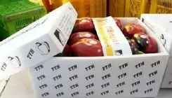 تاکید وزیر جهاد کشاورزی بر ضرورت تقویت تجارت و توسعه ترانزیت محصولات کشاورزی و دامداری ایران و روسیه