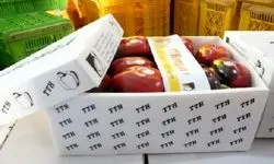 تاکید وزیر جهاد کشاورزی بر ضرورت تقویت تجارت و توسعه ترانزیت محصولات کشاورزی و دامداری ایران و روسیه