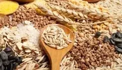 ابلاغ سهمیه واردات حبوبات و گندم از اتحادیه اوراسیا با تعرفه صفر