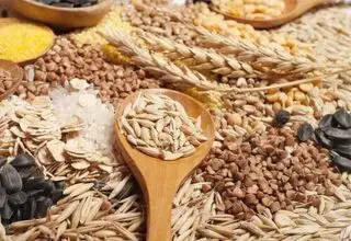 ابلاغ سهمیه واردات حبوبات و گندم از اتحادیه اوراسیا با تعرفه صفر