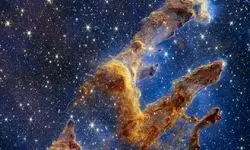 بهشت ستارگان را بینید