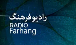 محسن حبیبی مدیر رادیو فرهنگ شد