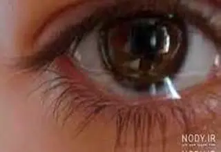 چرا موقع فیلم دیدن گریه میکنیم