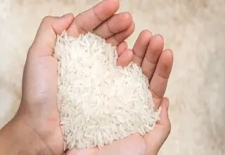 سالانه تا یک میلیون و ۴۰۰ هزار تن نیاز به واردات برنج داریم